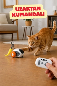 Hareketli Kedi Oyuncak Arabası | Uzaktan Kumandalı, Şarjlı, Sensörlü, Akıllı Oyuncak, 2 Başlıklı (H210)
